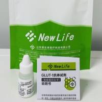 GLUT-1抗体试剂(免疫组织化学)