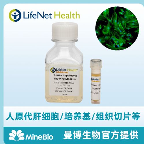 人原代肝细胞 人肝细胞 原代肝脏细胞-LifeNet Health品牌