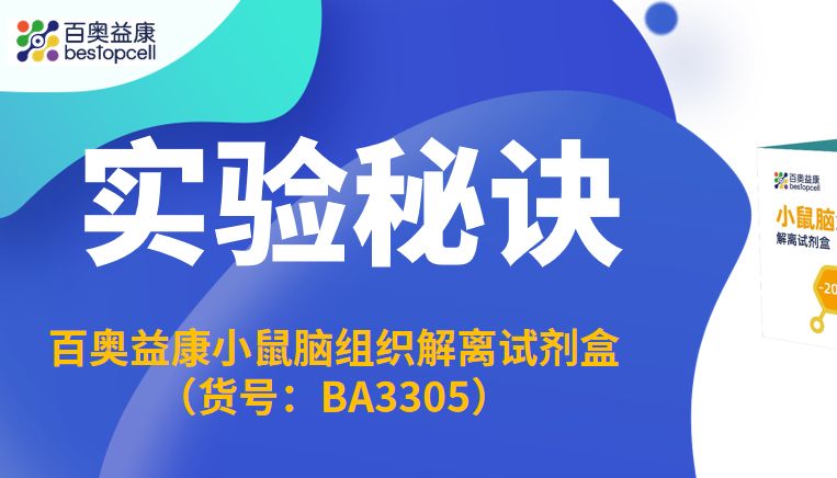 实验秘诀 | 单细胞时代神经科研刚需：BA3305 小鼠脑组织试剂盒的核心优势
