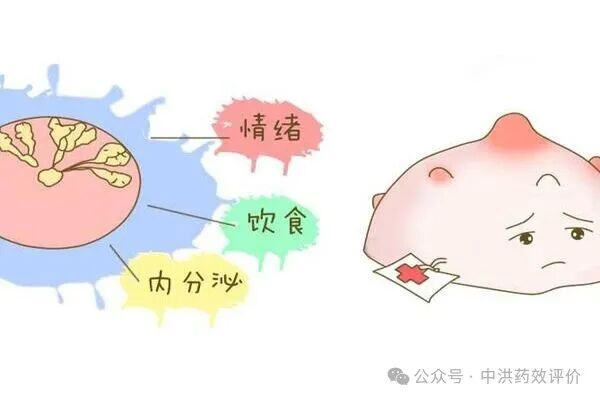 肿瘤模型——乳腺癌
