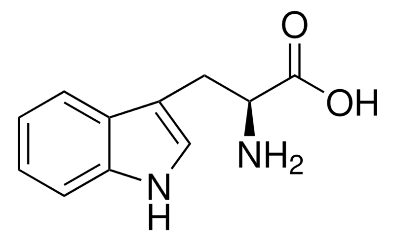 L-色氨酸 reagent grade, ≥98% (HPLC)