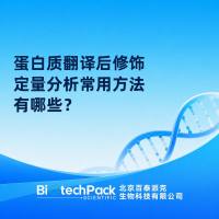 蛋白质翻译后修饰定量分析常用方法有哪些？