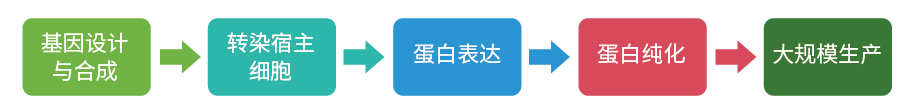 新闻图片8