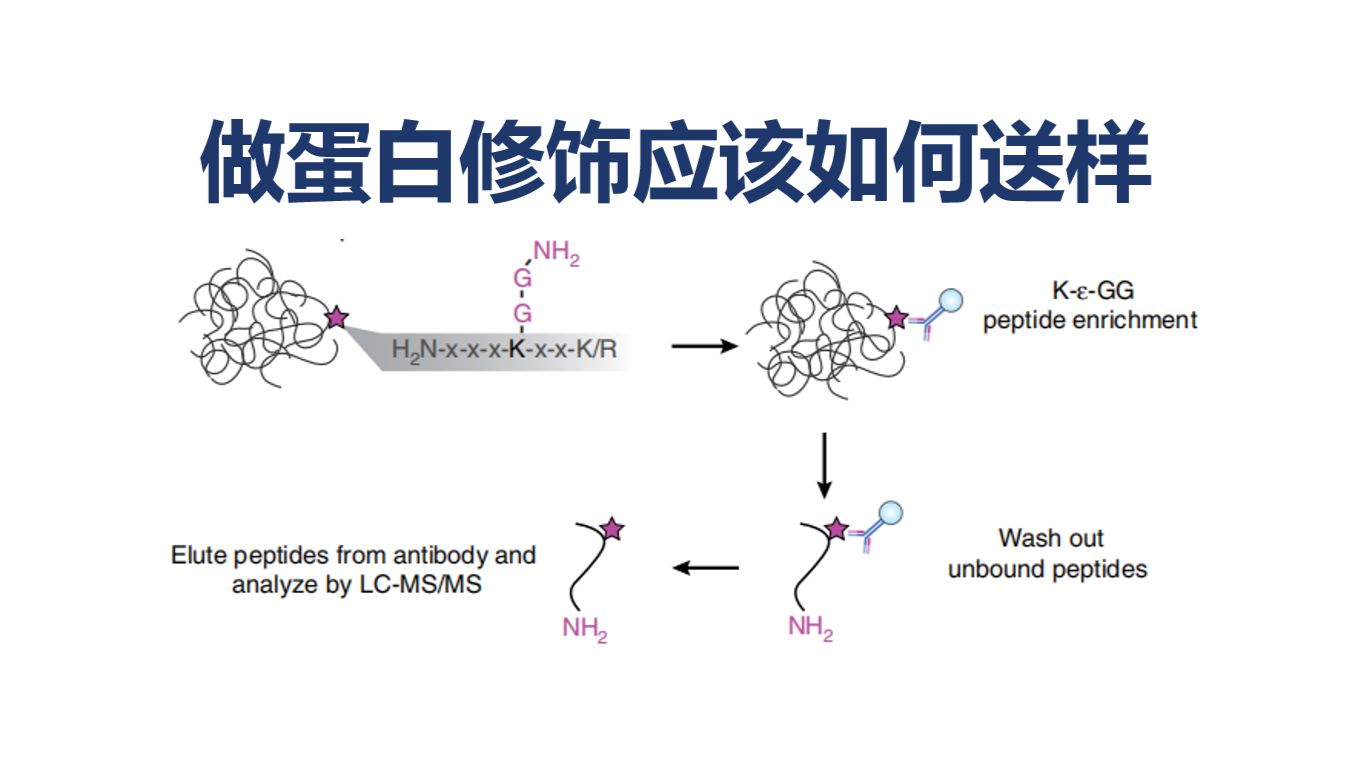 五种蛋白翻译后修饰送样方式，对修饰和位点检测范围的影响有多大？