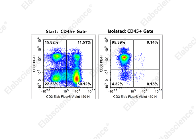 告别“CV值焦虑”！Elabscience 小鼠巨噬细胞来源的趋化因子(MDC/CCL22) elisa 试剂盒，数据稳定才是硬道理