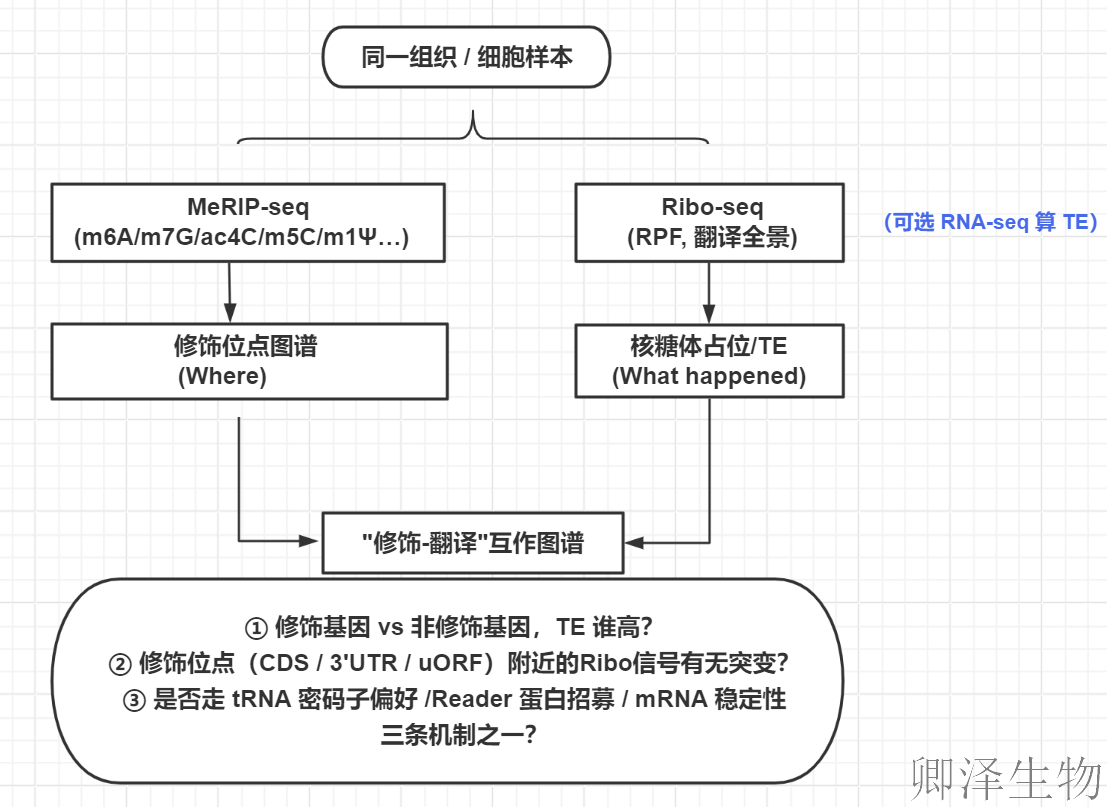 【翻译组 × Omics 搭子 · 第 2 期】