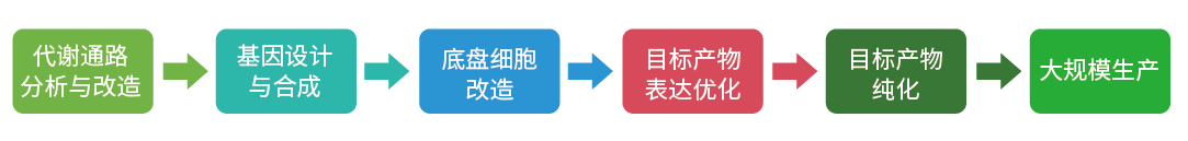 新闻图片10