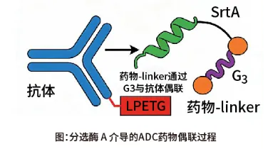 新闻图片13