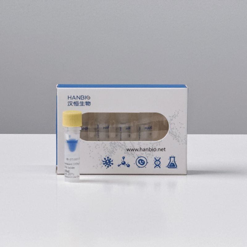 核酸电泳试剂-GeneTrackTM prestained 1 kb-IV DNA ladder产品图