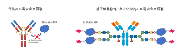 新闻图片4
