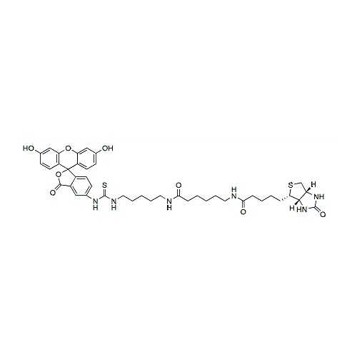 荧光素生物素[5-((N-(5-(N-(6-(联锡酰)氨基)己酰)氨基)戊基)硫代脲基基)萤光素]，134759-22-1，≥90%，阿拉丁产品图