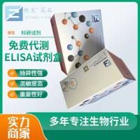 猪结缔组织生长因子(CTGF)ELISA试剂盒