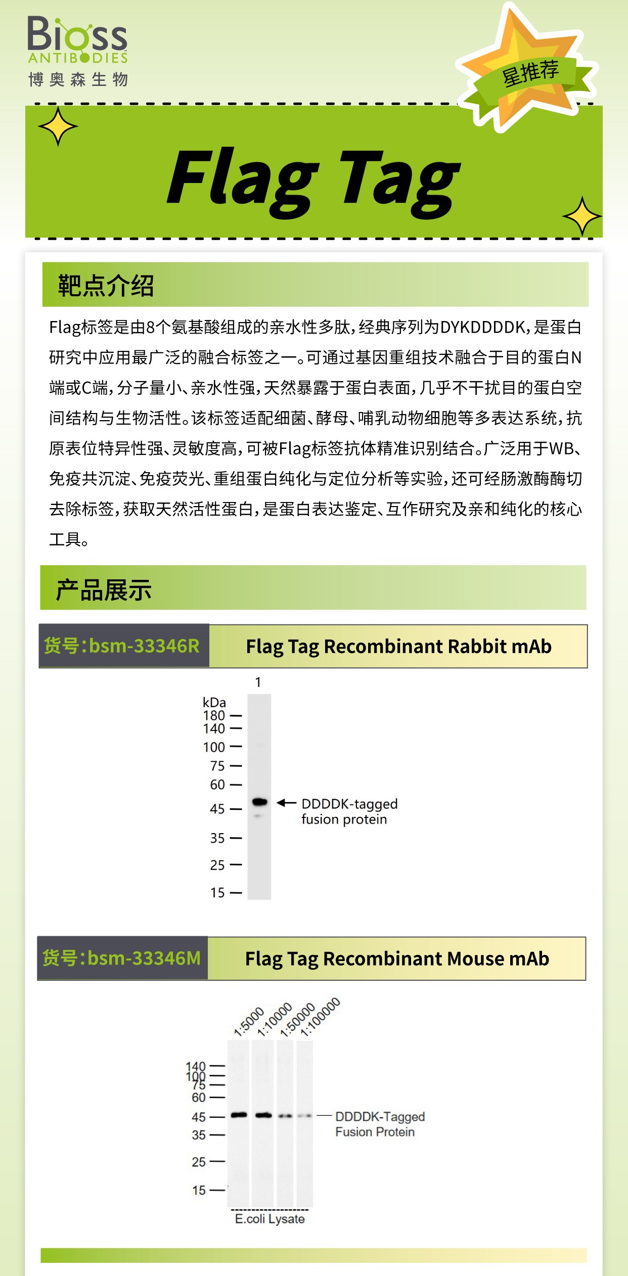 博奥森星推荐 | Flag Tag 抗体