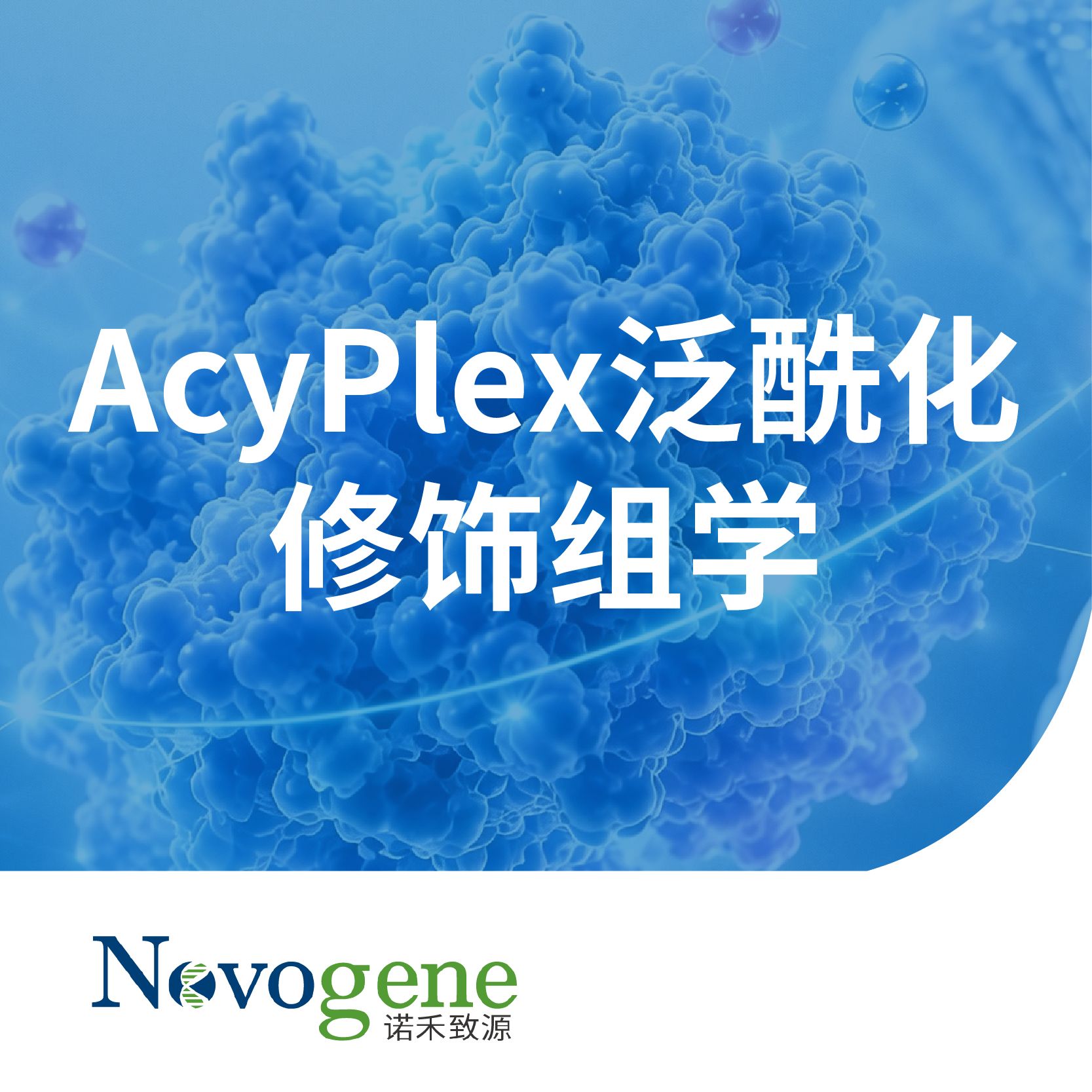 AcyPlex泛酰化修饰组学