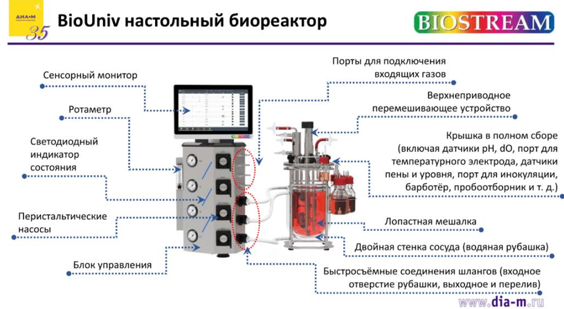 BioUniv 博奥思（Biostream）台式生物反应器，细胞 / 发酵实验室工艺开发全能设备