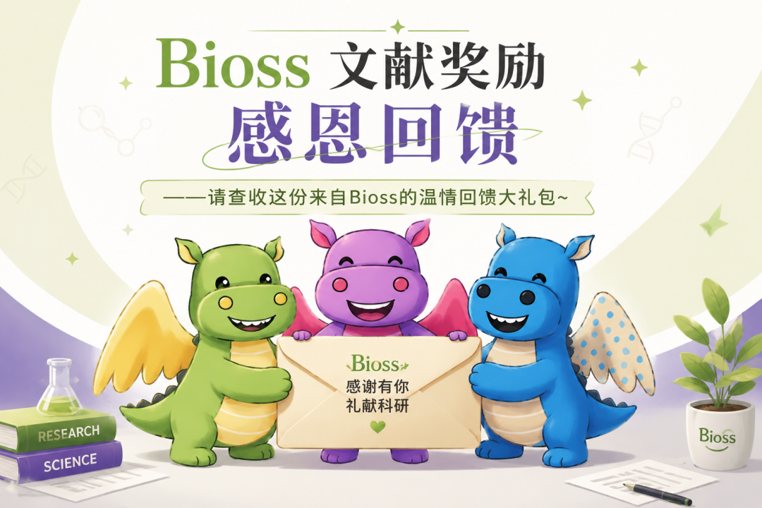 新闻图片2