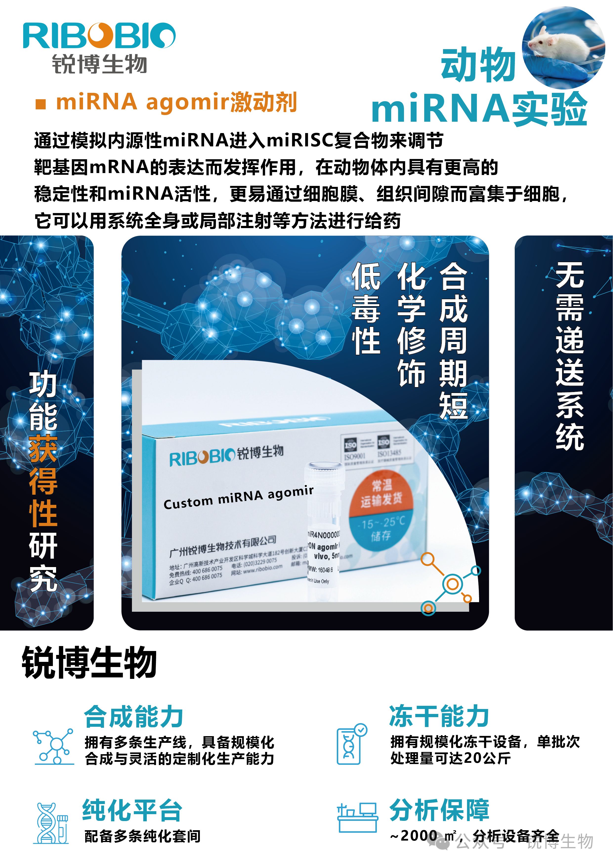产品推荐 | 动物miRNA实验