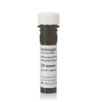 Invitrogen™ Super Bright 完整染色缓冲液,eBioscience