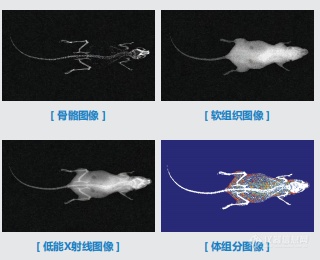 产品细节图片1