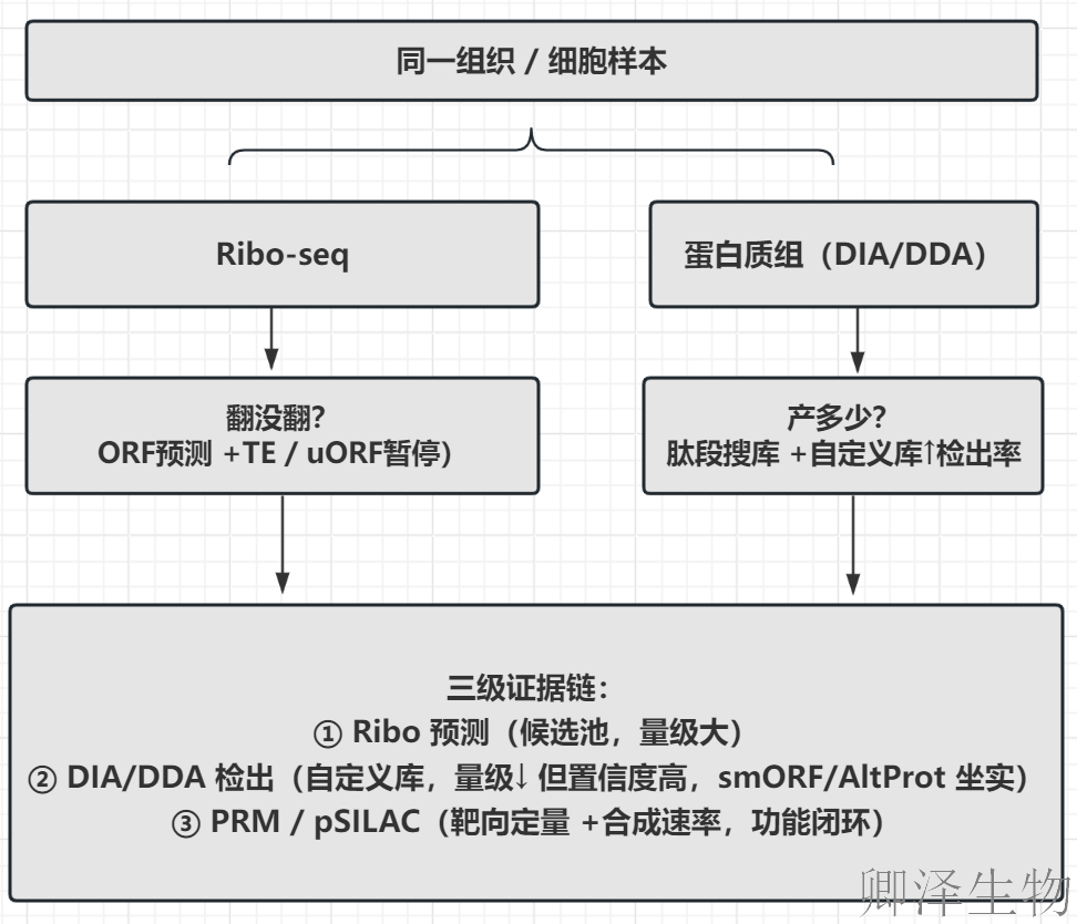【翻译组 × Omics 搭子 · 第 3 期】
