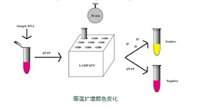 新闻图片5
