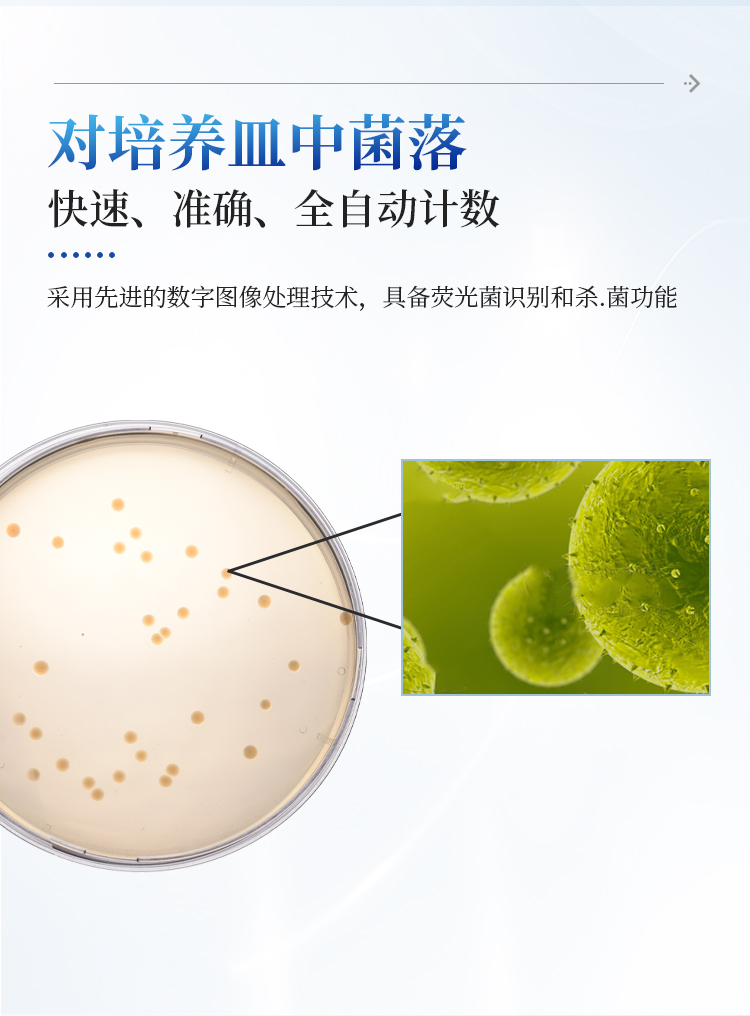 详情_12.jpg