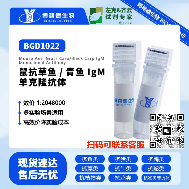 兔抗MCP多克隆抗体(Rabbit Anti-MCP Polyclonal Antibody)产品图