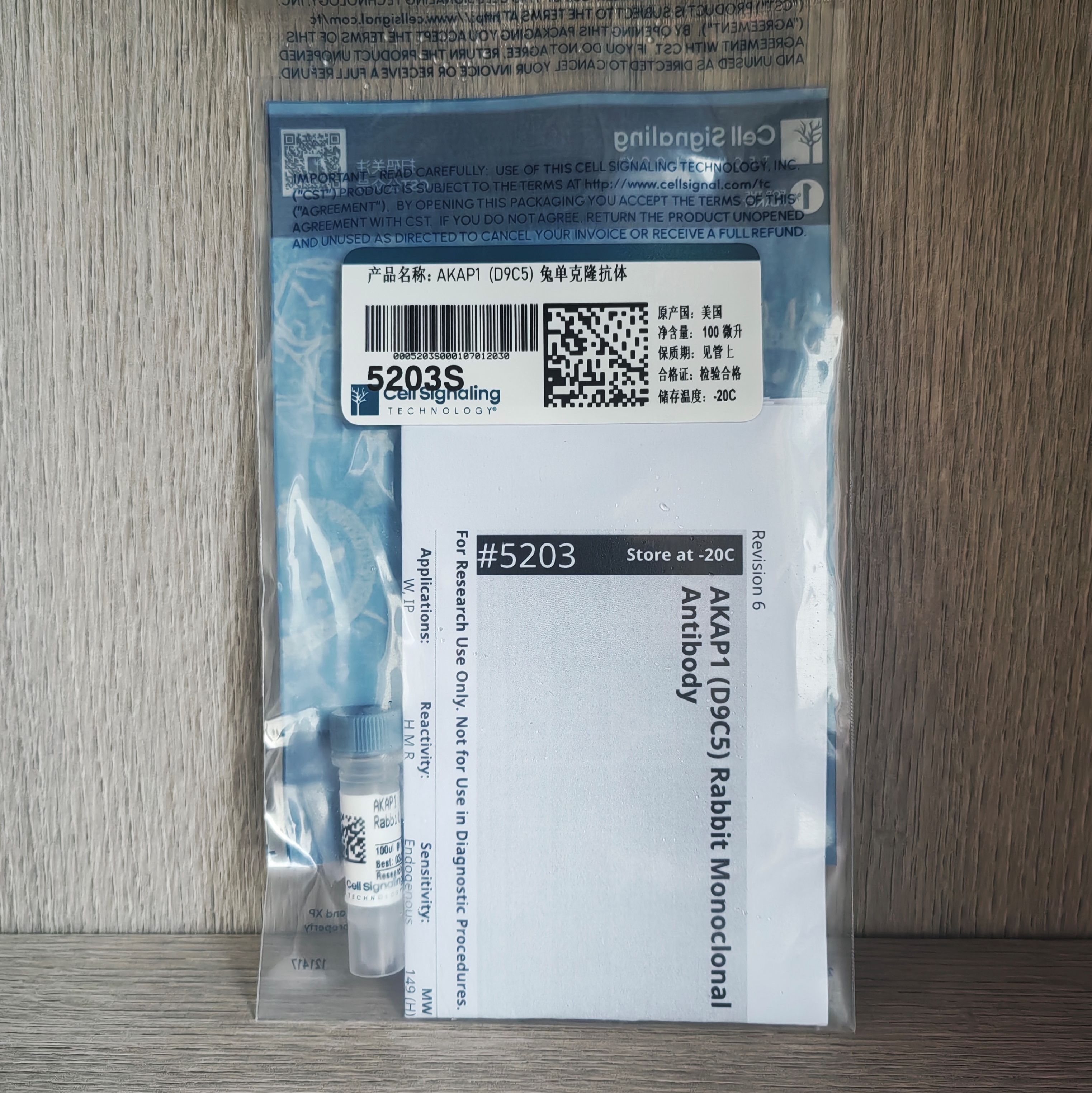 AKAP1 (D9C5) 兔单克隆抗体