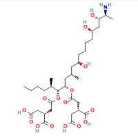 伏马毒素 B1,116355-83-0,≥98%(HPLC),阿拉丁