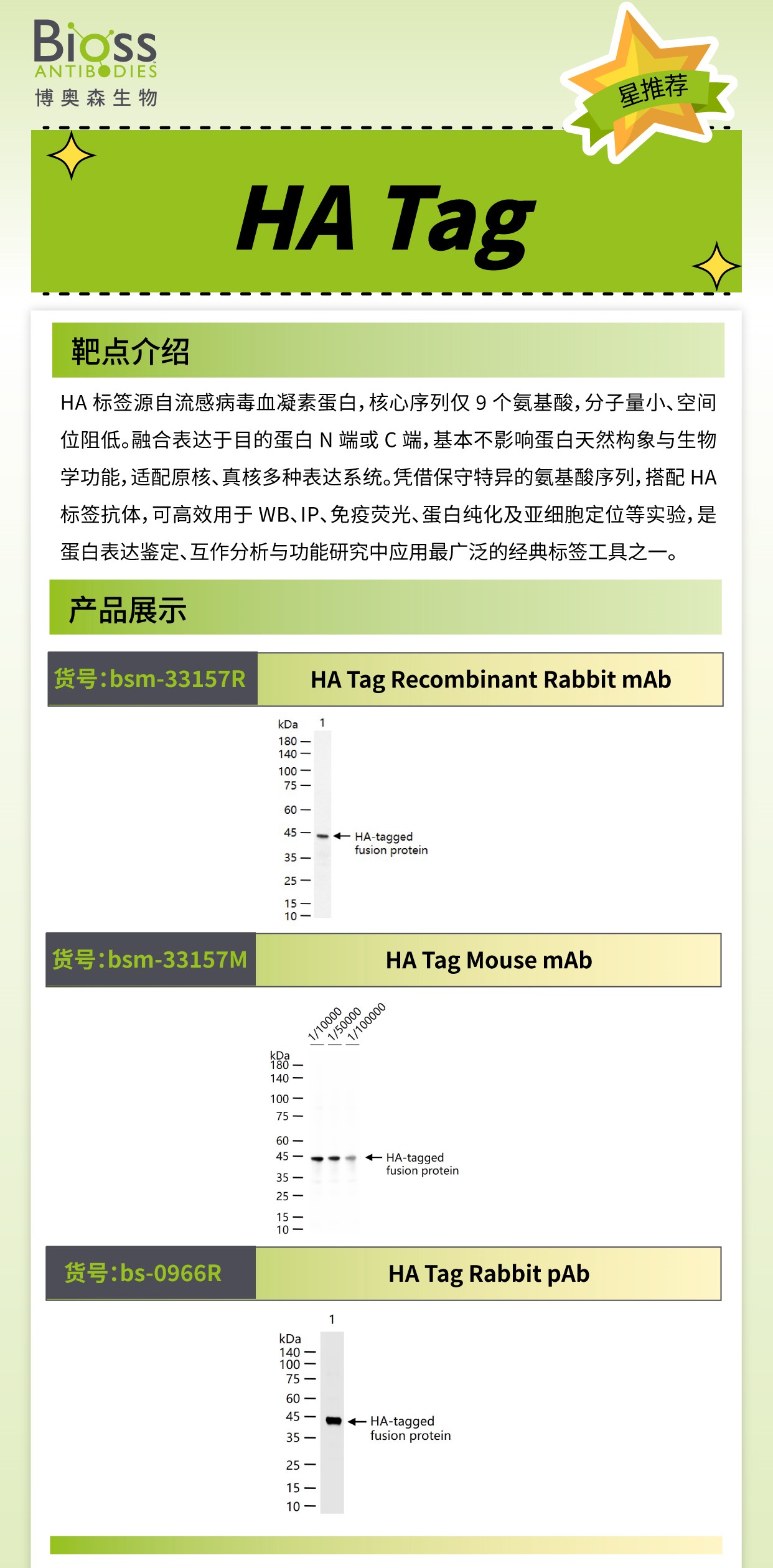 博奥森星推荐 | HA Tag 抗体