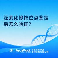 泛素化修饰位点鉴定后怎么验证？