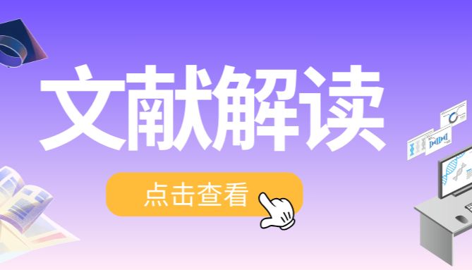 Cell Metab | 肠道菌“信使”破坏线粒体！谭敏佳/叶邦策/李静雅/徐骏宇揭秘新型蛋白质翻译后修饰Kpaa调控MASH的机制