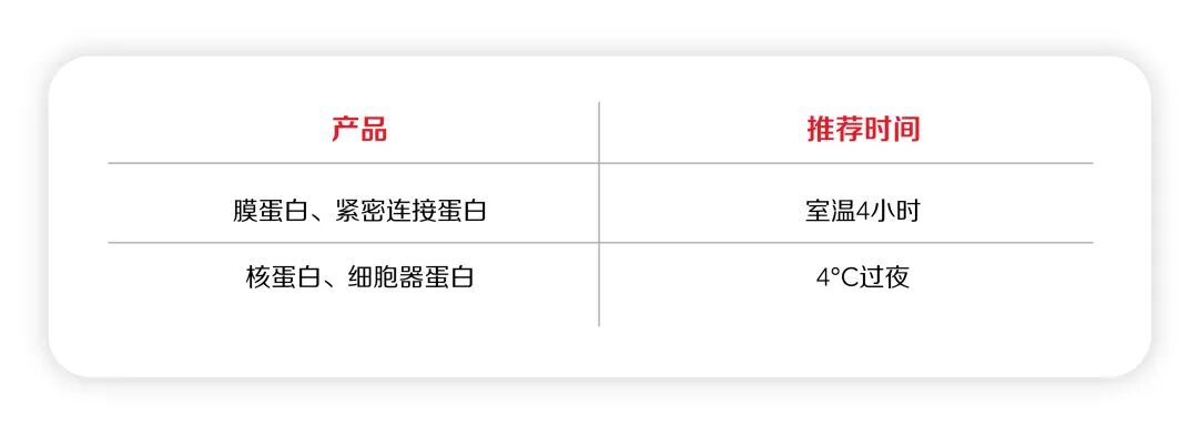肿瘤类器官免疫荧光实验总是结果不理想？这份指南请收藏
