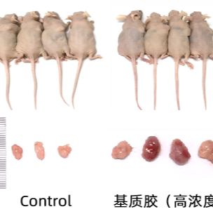 产品封面图