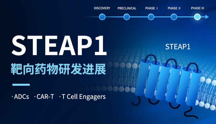 STEAP1靶向药物研发进展：T细胞连接器进入Ⅲ期，ADC与CAR-T多路线推进