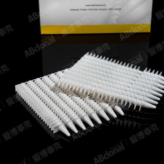 Sterile DNase/RNase-free Universal Clear Tips in Rack, 1000 μL{1000μL 吸头,无酶无菌,盒装透明款,通用适配性}