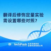 翻译后修饰定量实验需设置哪些对照？
