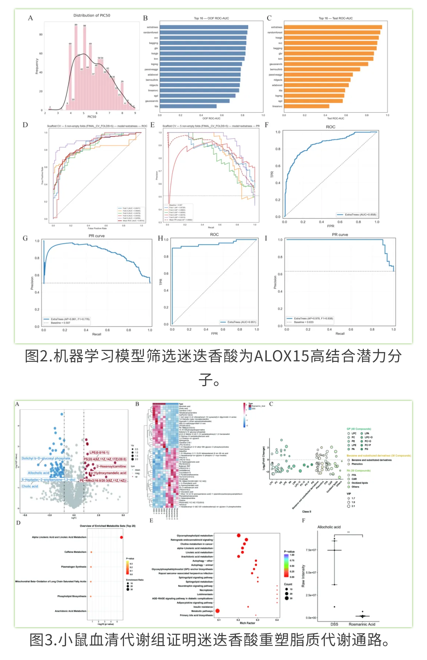 新闻图片4