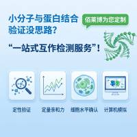 小分子与蛋白结合验证没思路？佰莱博为您定制“一站式互作检测服务“