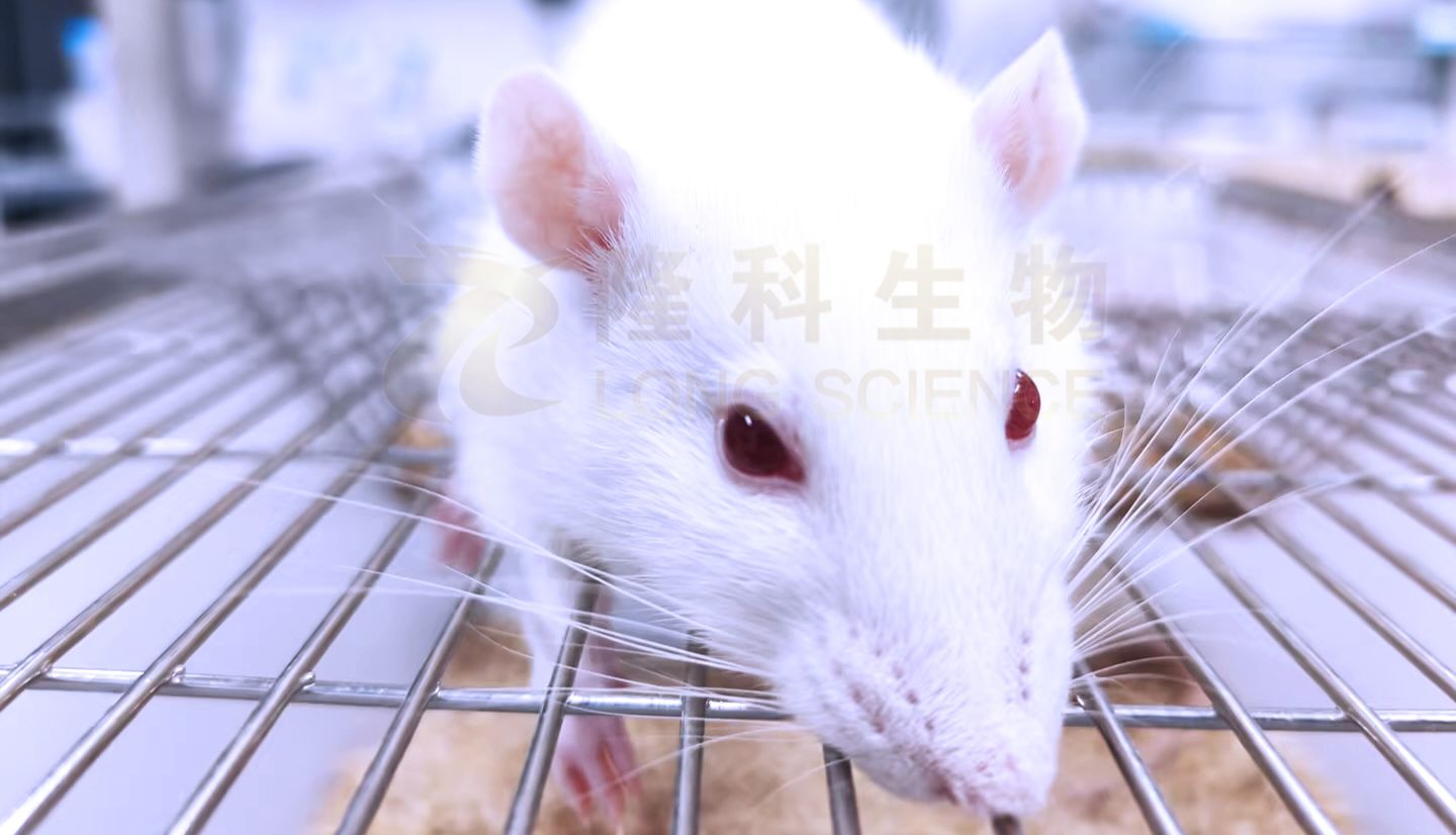 小鼠肠炎模型怎么做？DSS、TNBS、乙酸诱导法的区别与选择