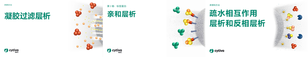 层析纯化从入门到精通：Cytiva中文层析原理手册全新发布！