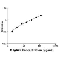 小鼠免疫球蛋白G2α(IgG2α)ELISA试剂盒