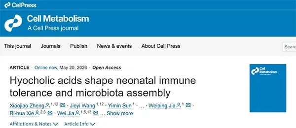 引用文献截图