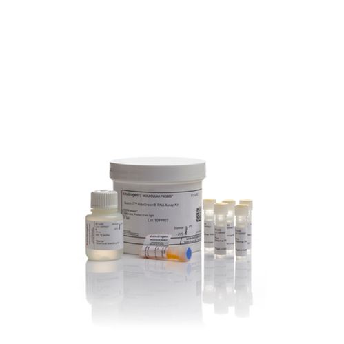 Quant-iT™ RiboGreen RNA 定量试剂盒与 RiboGreen RNA 试剂、RediPlate™ 96 RiboGreen™ RNA 定量试剂盒
