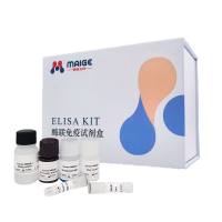 AE00338ho-48T*麦格*马流感病毒(A型)(FLU AAb)抗体 ELISA Kit
