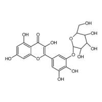 杨梅素-3-O-β-D-葡萄糖苷