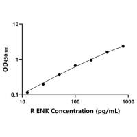 大鼠脑啡肽(ENK)ELISA试剂盒