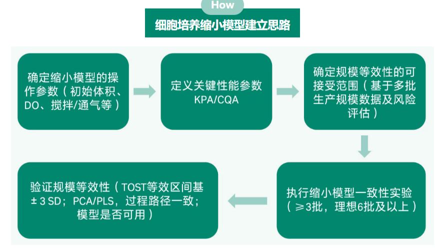 你用的缩小模型真的代表生产吗？上游缩小模型的建立与验证！