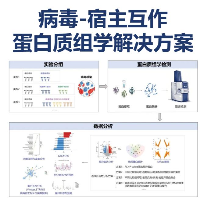 谱度众合：病毒宿主互作蛋白质组学解决方案