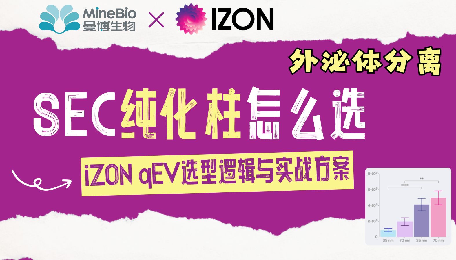 外泌体分离｜SEC纯化柱怎么选？一文读懂iZON qEV系列的选型逻辑与实战方案